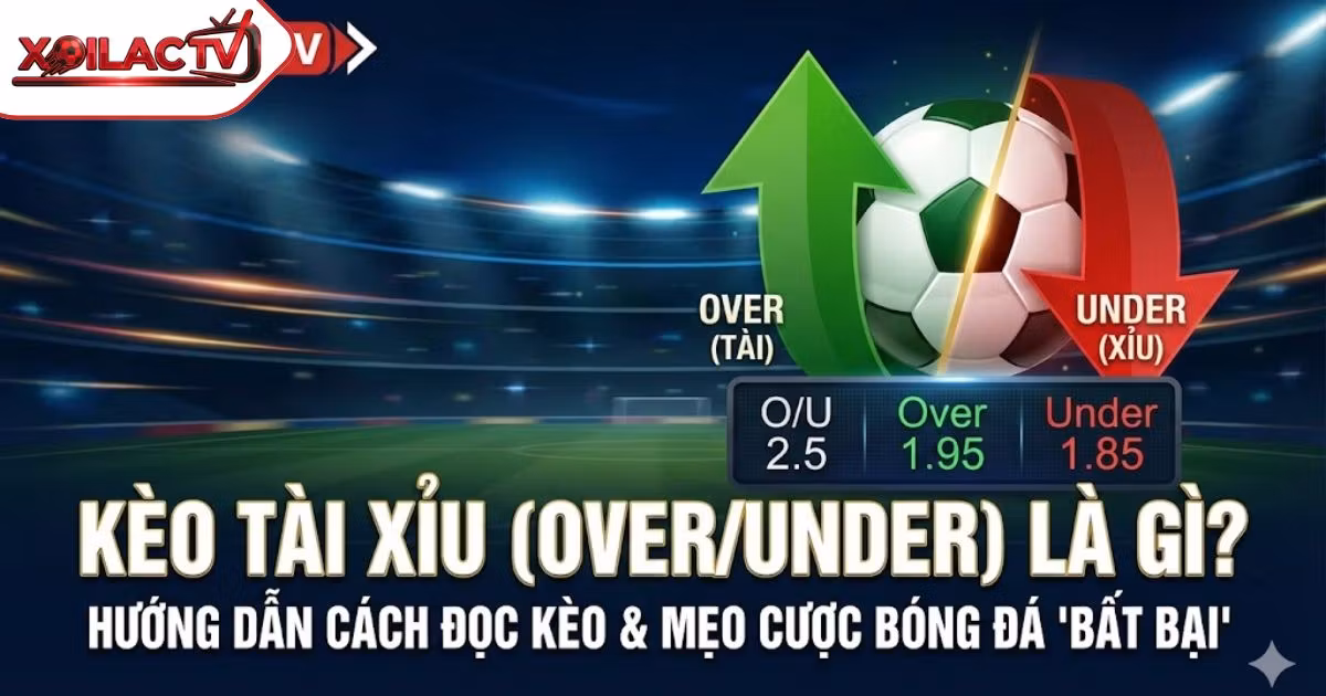 Kèo Tài Xỉu (Over/Under) Là Gì? Hướng Dẫn Cách Đọc Kèo Và Mẹo Cược Bóng Đá “Bất Bại”