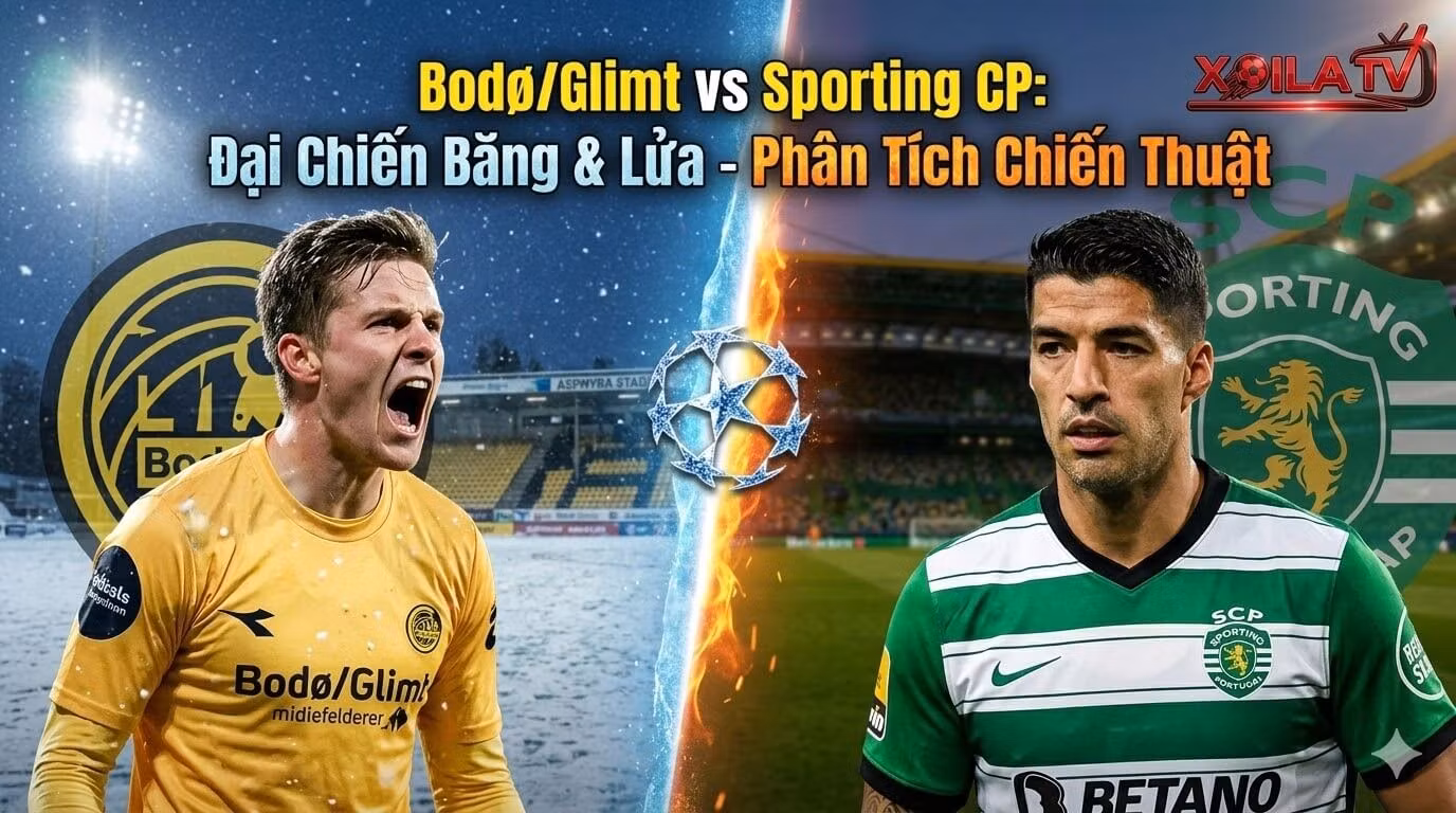 Nhận định Bodø/Glimt vs Sporting CP vòng 1/8 Champions League - Phân tích chiến thuật độc quyền từ Xoilac TV