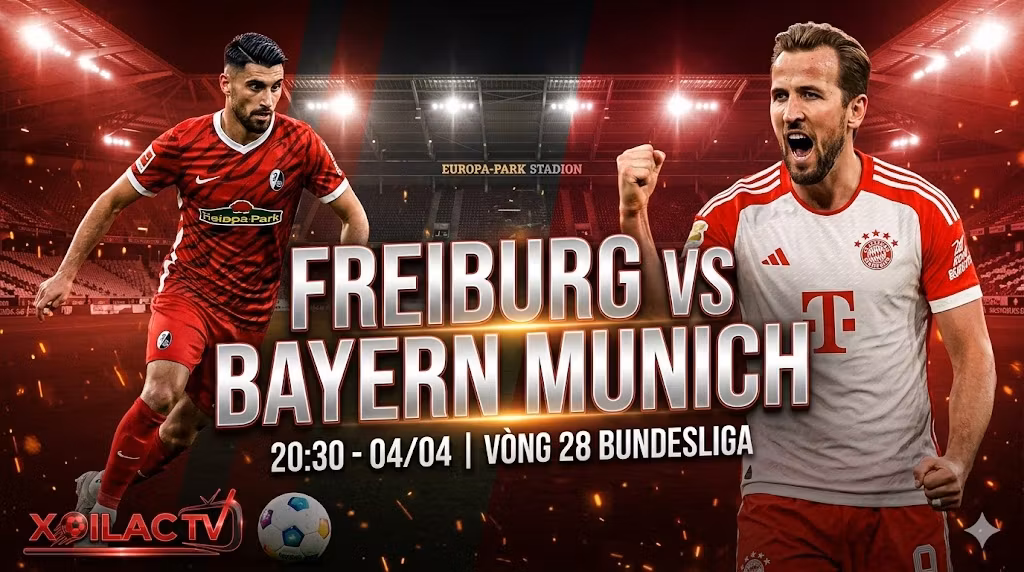 Bảng đồ họa nhận định bóng đá Freiburg vs Bayern Munich vòng 28 Bundesliga trên Xoilac TV